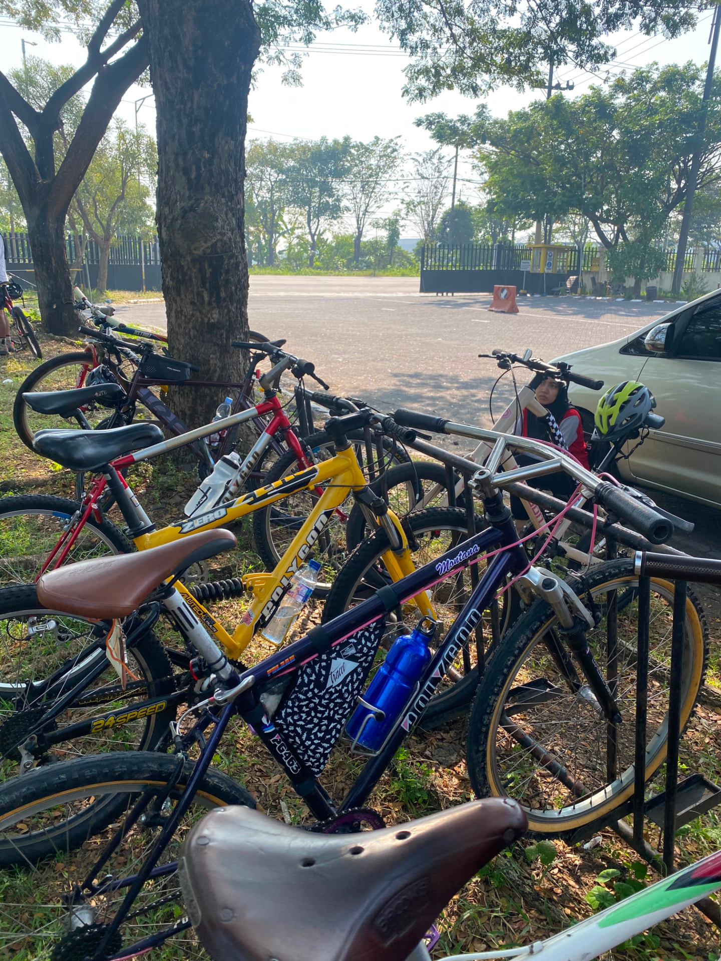 Bikes parked in the shade of a tree beside the road